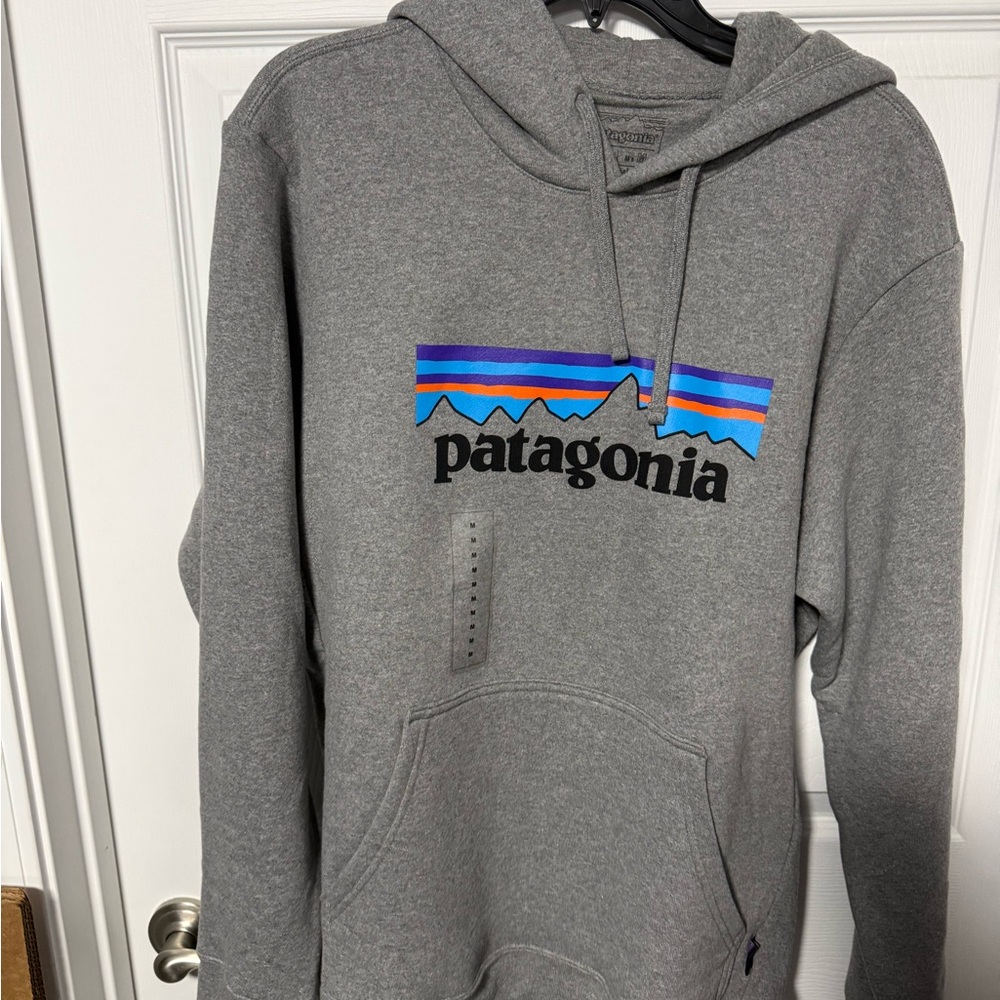Patagonia Gray Hoodie with Blue and Orange logo large